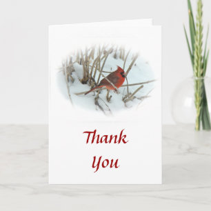 Merci Cardinal Songbird