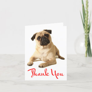 Merci Carlin Chien Chien Chien Vierge Carte Note