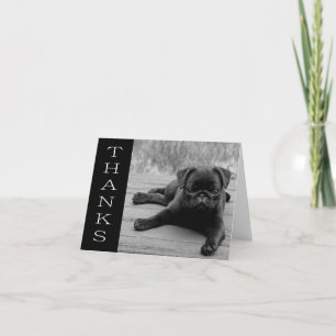 Merci Chien Chien Chien Chien Noir et Blanc Carte 