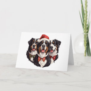 Merci Chiens de montagne bernois de Noël