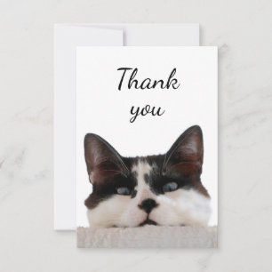 Merci Cute Chat Kitten Jetez un oeil sur vous