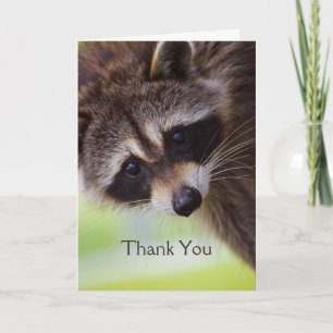 Merci Cute Raccoon Animal Fun 