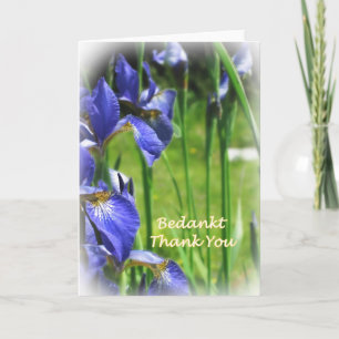 Merci dans néerlandais et anglais