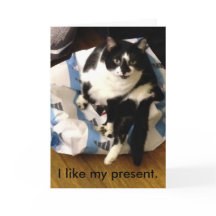 Merci de chat pour mes cartes cadeau de Noël