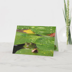 Merci de grenouilles et de coussinets Lily