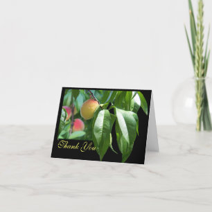 Merci de l'arbre de pêche