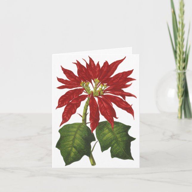 Merci de Noël vintage (Devant)