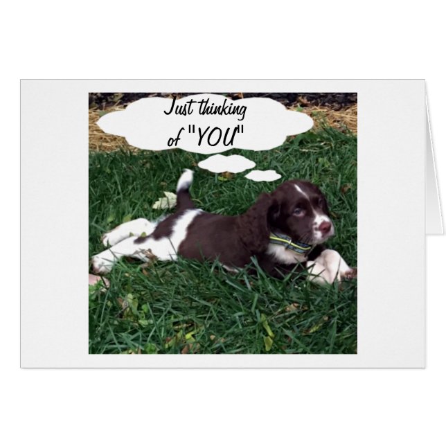 MERCI DE PENSER À "VOUS" (Devant horizontal)