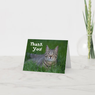 Merci de sourire de chat tigré