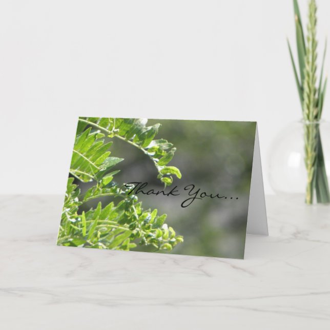 Merci d'être venu (Devant)