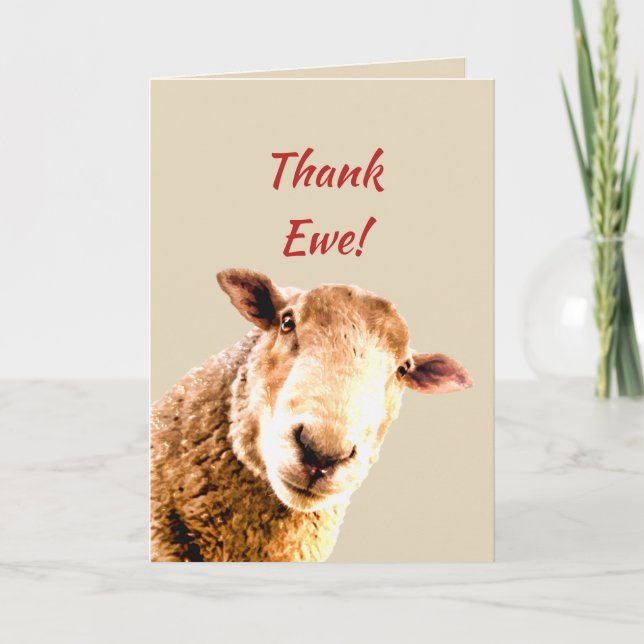 Merci Drôle Humour animal mouton (Devant)