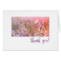 Merci Fleur sauvage Pink Light Campion