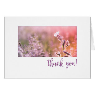Merci Fleur sauvage Pink Light Campion