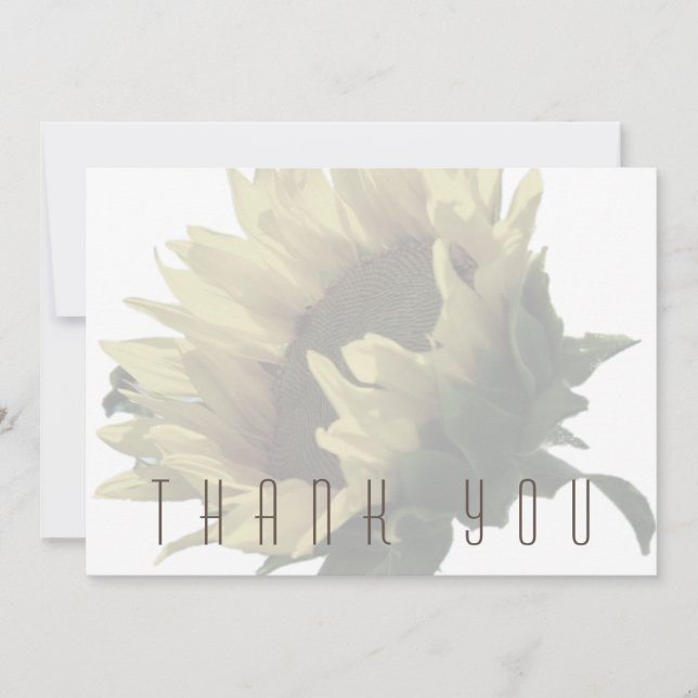 Merci funéraire de tournesol (Devant)