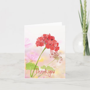 Merci Géranium rouge du jardin Fleur