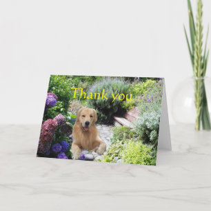 Merci Golden Retriever Dans La Carte Jardin