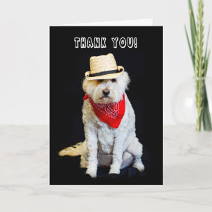 Merci - HUMOUR - CASQUETTE CHIEN/COWBOY ET SCARF