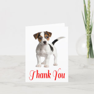 Merci Jack Russell Terrier Puppy Chien Note Card
