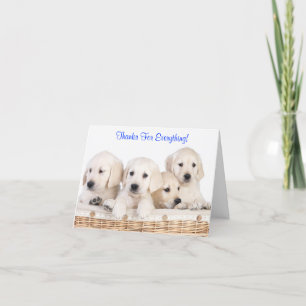 Merci Labrador Retriever Puppy Dogs Card