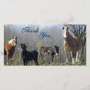 Merci les chevaux, le poney, et l'âne Photocards