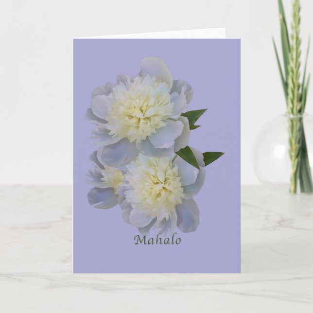 Merci, Mahalo, Hawaiian, Carte avec pivoines (Devant)