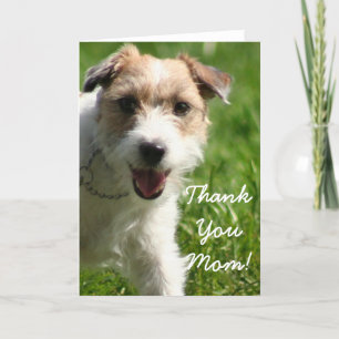 Merci Maman Jack Russell Terrier Carte de voeux