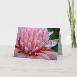 Merci M'Éloigne Du Gingembre Rose