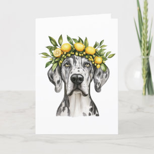 Merci Merle Great Dane Chien Citron Couronne