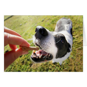 Merci Migné Pour Animaux Possédant Puppy Carte de 