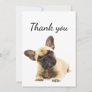 Merci mignon chien Carlin animal amusant
