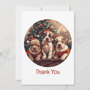 Merci Noël Chiots Pit Bull