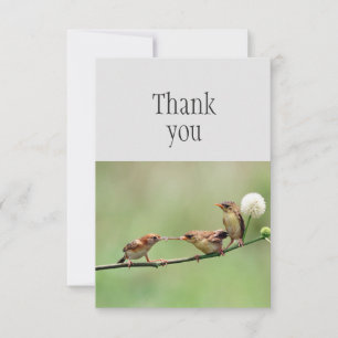 Merci Oiseau mignon Parent Bébé Oiseaux