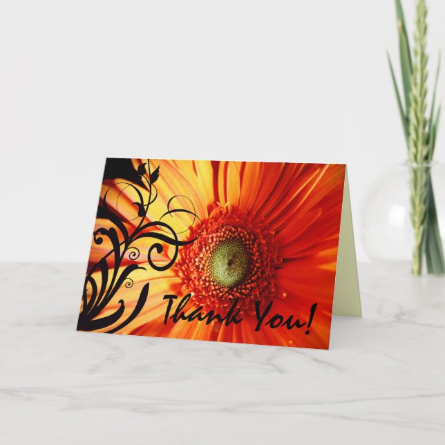 Merci orange Daisy (Devant)