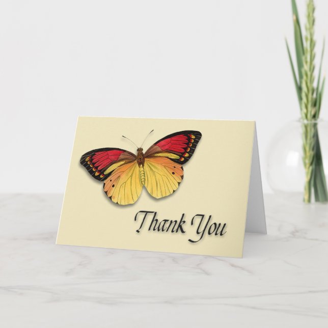 Merci papillon (Devant)