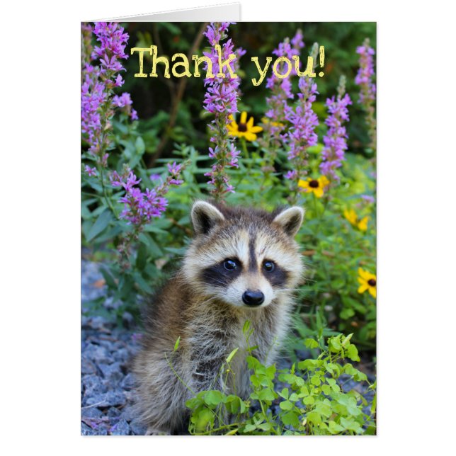 Merci parmi les fleurs (Devant)