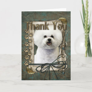 Merci - pattes en pierre - Bichon Frise