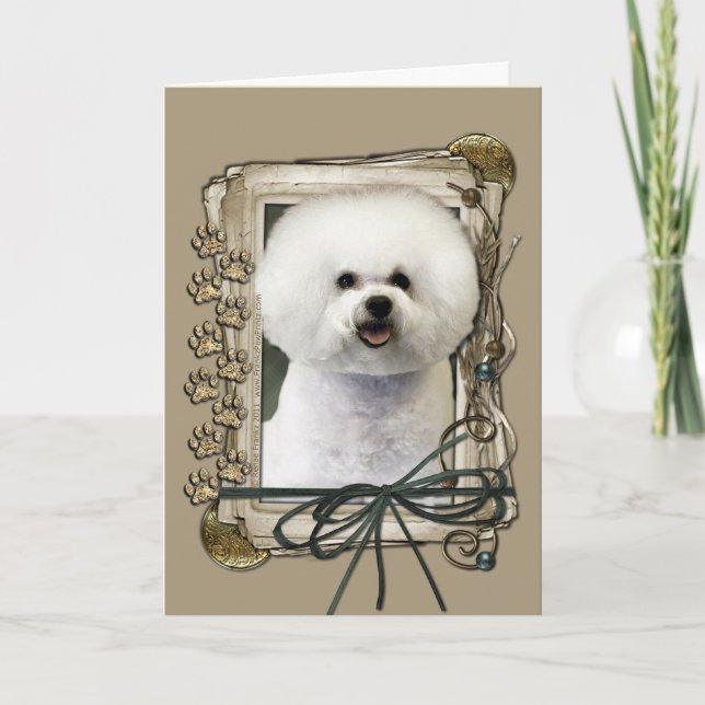 Merci - pattes en pierre - Bichon Frise (Devant)
