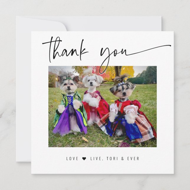 MERCI PET PHOTO moderne script simple (Devant)