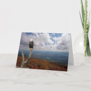 Merci pour défendre la cause de la liberté !