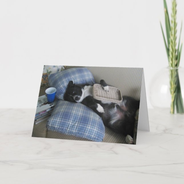 Merci pour la partie avec le chien mignon (Devant)