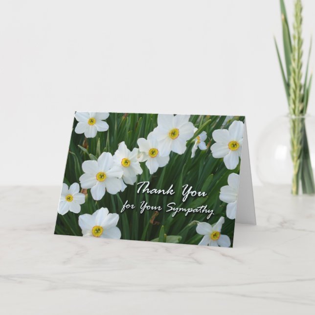 Merci pour la sympathie, les fleurs de Narcisse (Devant)