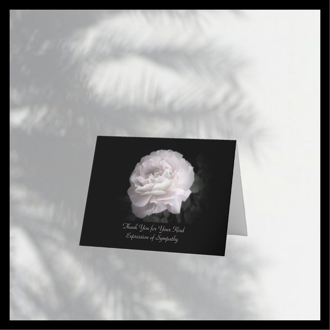 Merci pour la sympathie, une rose rose rose pâle (Créateur téléchargé)