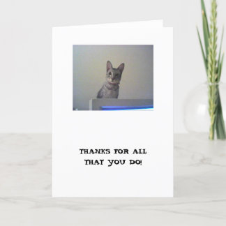 Merci pour tout ce que vous faites !