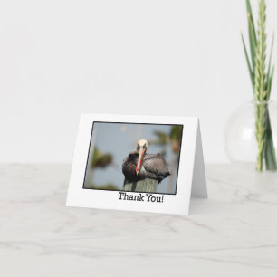 Merci pour votre carte de visite