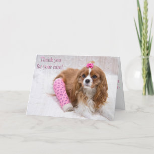 Merci Pour Votre Soin Le Roi Charles Spaniel