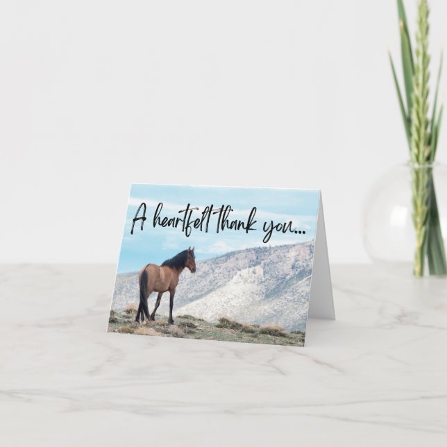 Merci sauvage à cheval (Devant)