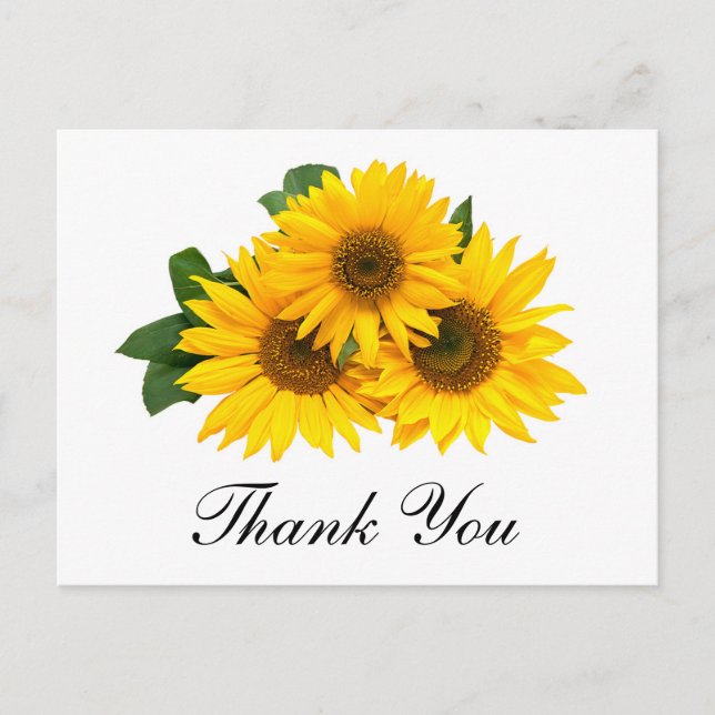 Merci Sunflower Floral Carte postale (Devant)