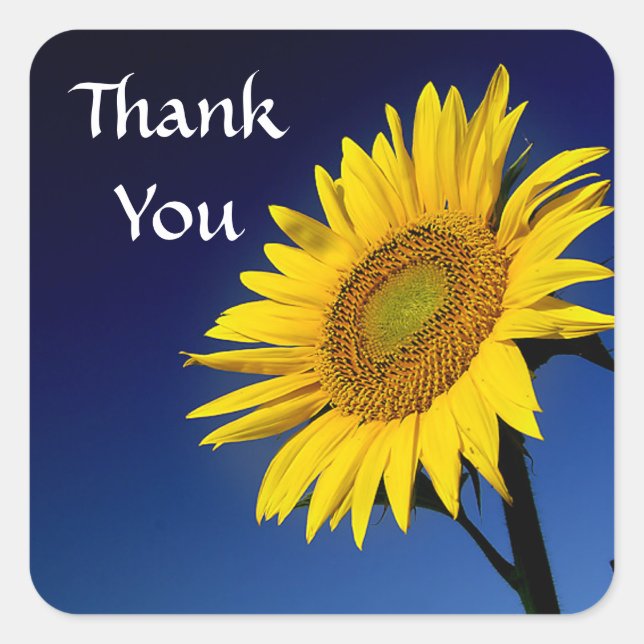 Merci Tournesol Jaune Sticker Étiquette (Devant)