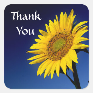 Merci Tournesol Jaune Sticker Étiquette