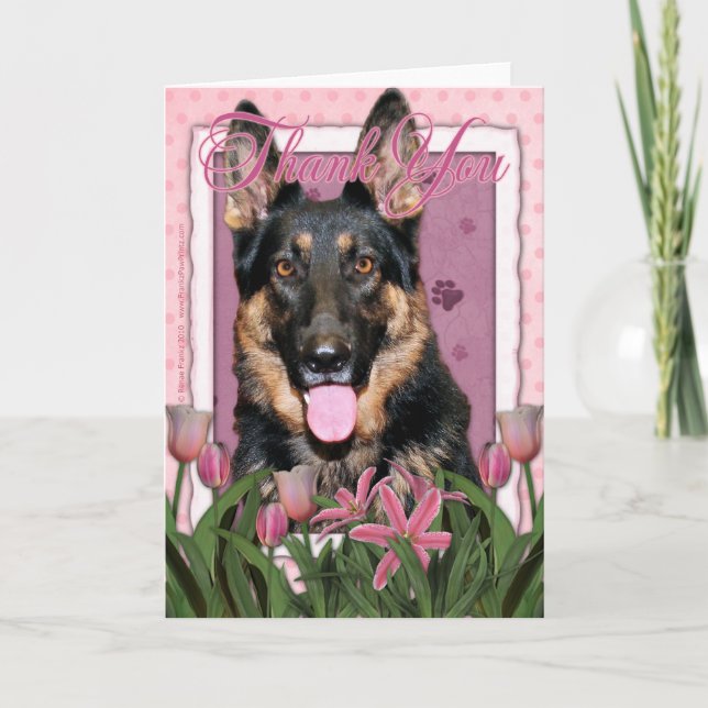 Merci - Tulipes roses - Berger allemand - Kuno (Devant)